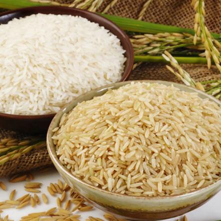 تاریخچه برنج ندا اصل ایران