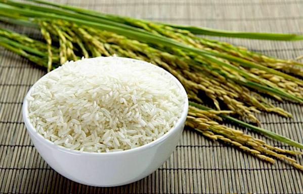 آشنایی با برنج کشت دوم