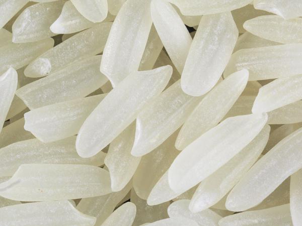 قیمت بهترین برنج کشت دوم