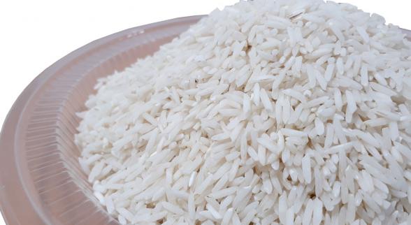 از برنج شیرودی چه می دانید؟