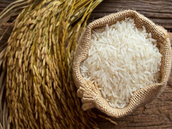 توزیع کننده برنج ایرانی عطر دار