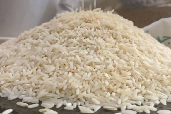نکات کلیدی برای انتخاب بهترین معامله در خرید برنج کشت دو سوپر مجلسی بینام