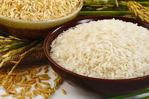 تنوع محصولات: راهبرد برجسته برای تضمین پایداری بازار