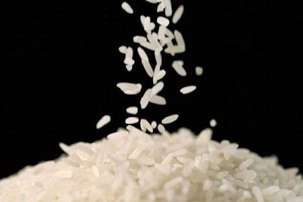 برنج طارم هاشمی معطر با قیمتی عادلانه و جذاب