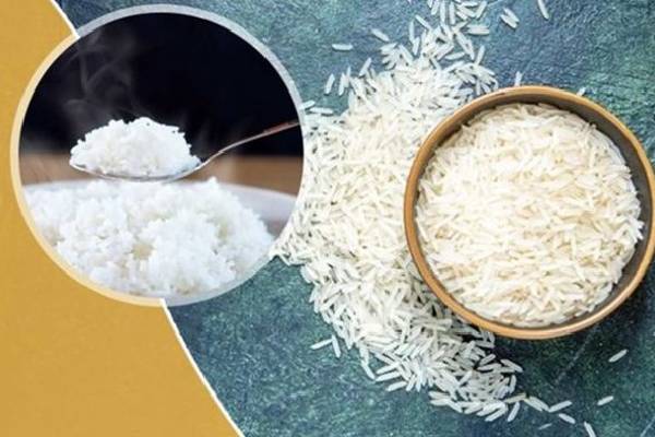 برنج طارم هاشمی معطر با قیمتی که شما را جذب خواهد کرد