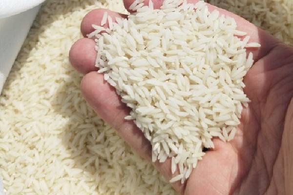 چگونه برنج طارم هاشمی معطر با قیمتی عادلانه را تجربه کنید؟