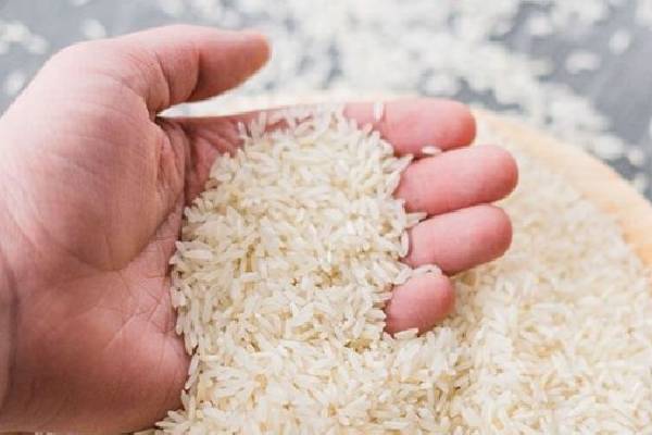 برنج عطری شمال: راهی مطمئن به بازارهای جهانی با کیفیت عالی
