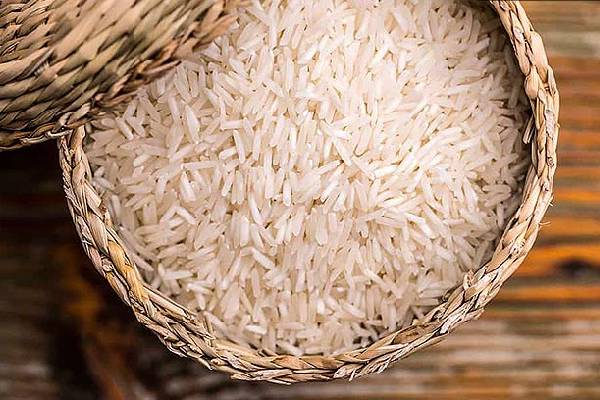  برنج عطری شمال قیمت مناسب، تازگی برنج برگرفته از طبیعت