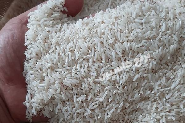 تأمین مواد اولیه با کیفیت برتر: استراتژیهای خرید برنج طارم هاشمی معطر