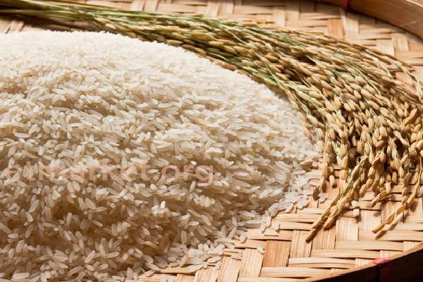 استفاده از تخفیفات و شرایط ویژه: خرید عمده برنج مجلسی بینام با قیمت مناسب و تخفیفات فوق‌العاده