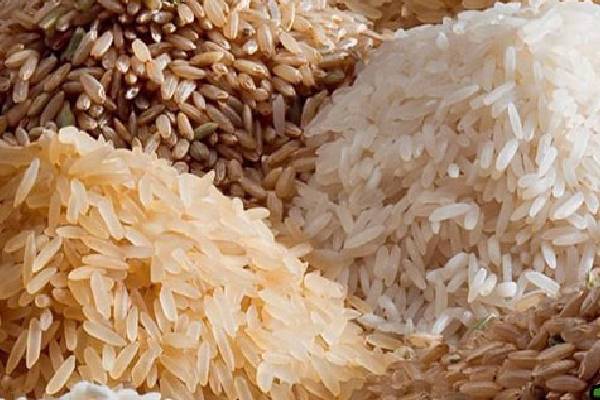  برنج عطری شمال معتبر و با قیمت مناسب
