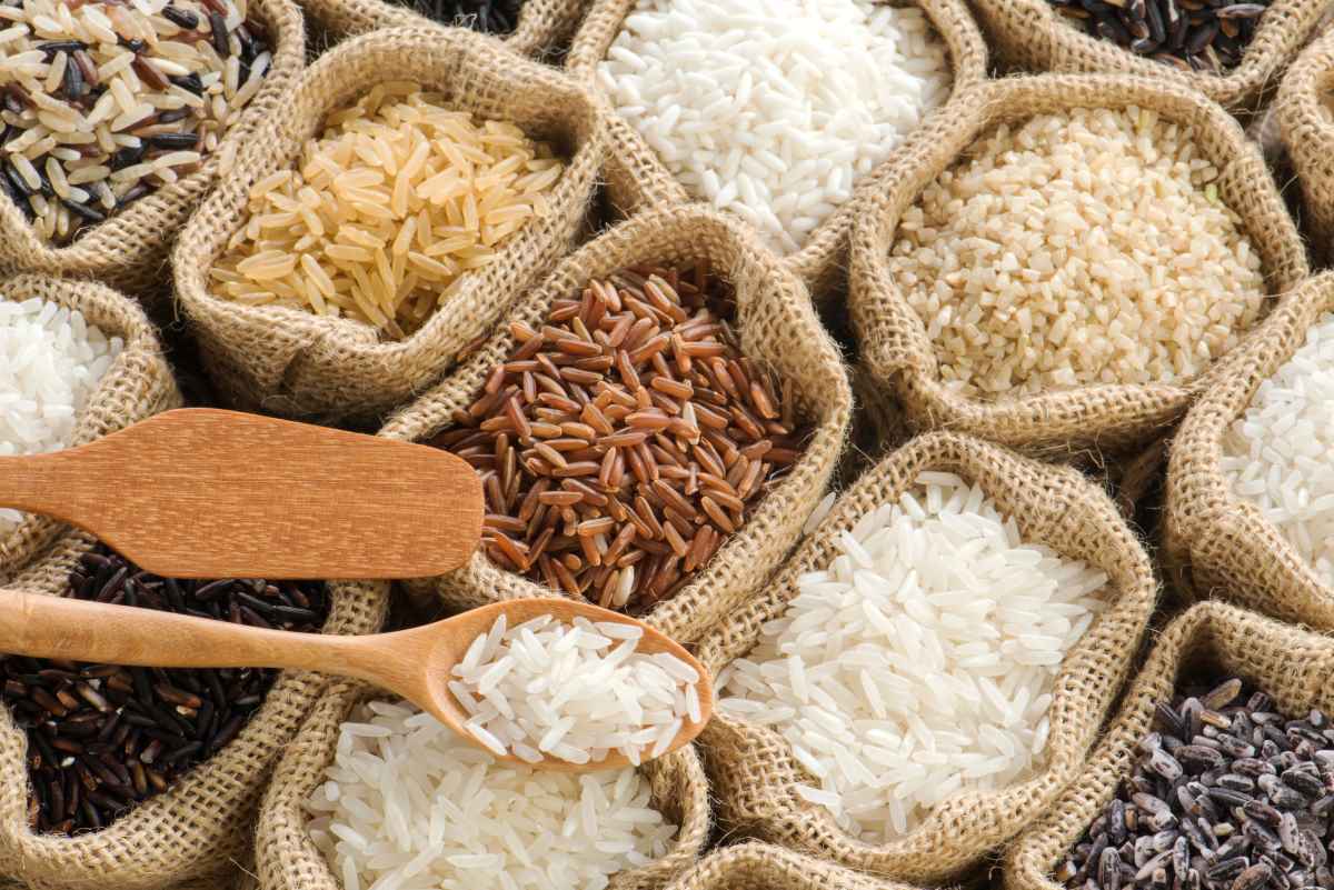 نمایندگی عمده‌فروشی برنج عطری شمال با تخفیفات ویژه