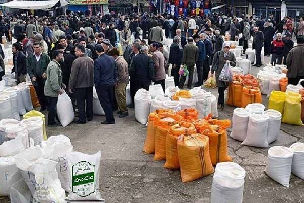 رازهای کیفیت: برنج عطری شمال با بهترین عطر و بو و قیمت مناسب