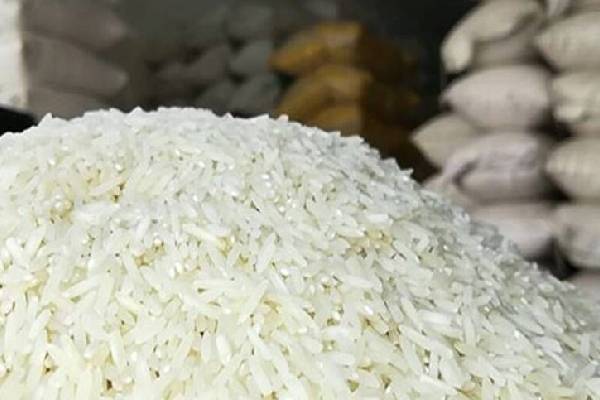 صادرات برنج طارم هاشمی معطر با بهترین کیفیت و عطر و بو