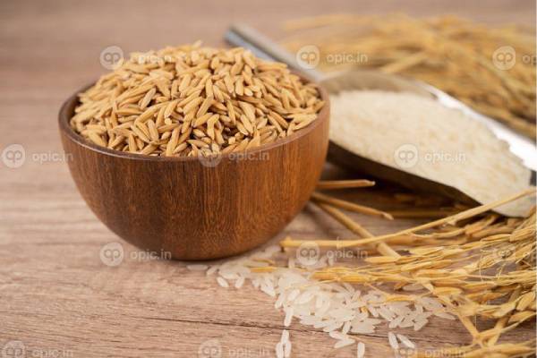چگونه می‌توانید از کیفیت برنج درجه یک شمال اطمینان حاصل کنید؟