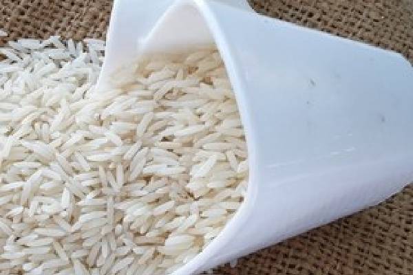 حمایت از کشاورزان محلی: عرضه برنج دانه سفید تازه به قیمت عادلانه