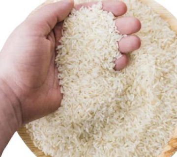 راهنمای جامع خرید برنج دانه سفید درجه یک: نکات کلیدی برای انتخاب بهترین کیفیت و قیمت