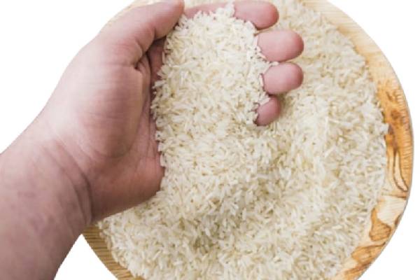 راهنمای جامع خرید برنج دانه سفید درجه یک: نکات کلیدی برای انتخاب بهترین کیفیت و قیمت
