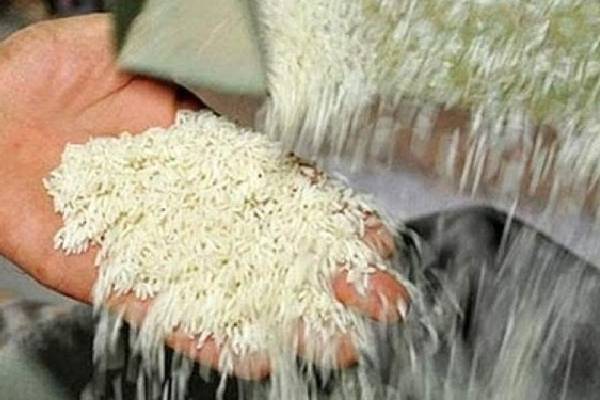 چگونه می‌توانید با تحلیل دقیق نوسانات بازار، بهترین زمان برای خرید برنج را انتخاب کنید و سود خود را بهبود بخشید؟