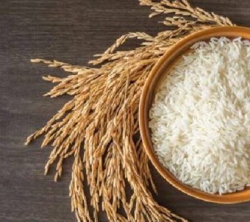 استراتژی‌های جدید در صادرات برنج با کیفیت: ارتقاء استانداردها و تبلیغات جهانی
