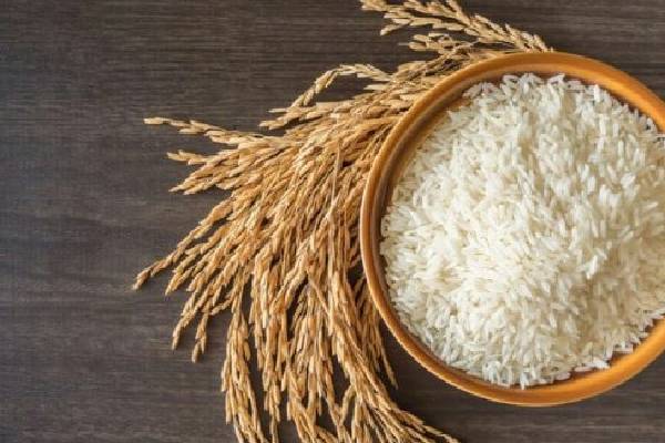 استراتژی‌های جدید در صادرات برنج با کیفیت: ارتقاء استانداردها و تبلیغات جهانی