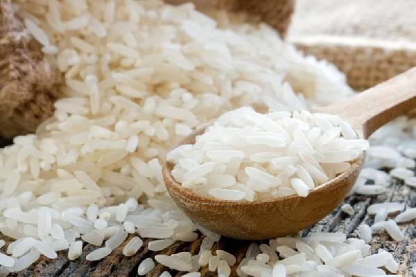 ارائه برنج طارم هاشمی با کیفیت درجه یک به بازار