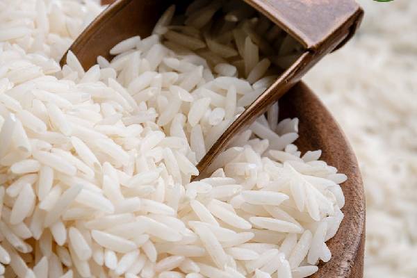 عطر و بوی استثنایی: عرضه برنج کشت دوم سوپر مجلسی با کیفیت عالی