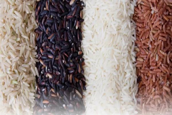 چگونه برنج ایرانی و خارجی با کیفیت را با بهترین قیمت بخریم؟