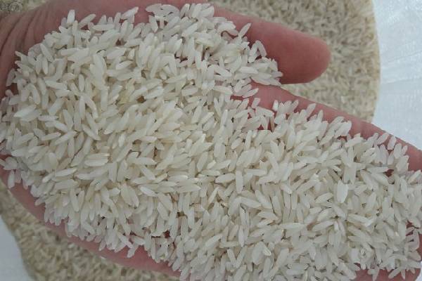 راهکارهایی برای خرید برنج درجه یک شمال با قیمت مناسب