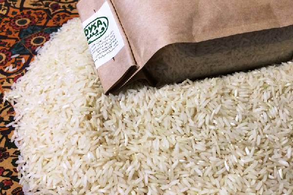 عطر و بوی بی‌نظیر: تجربه لذت خرید برنج طارم هاشمی درجه یک با کیفیت عالی