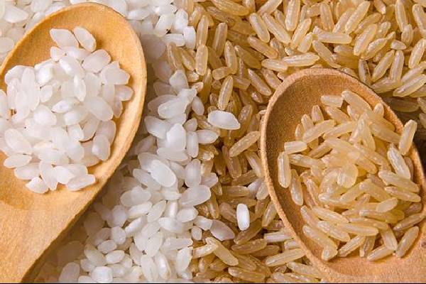 آشنایی با تولیدکنندگان برنج معتبر: بوی خاص با مناسبترین هزینه