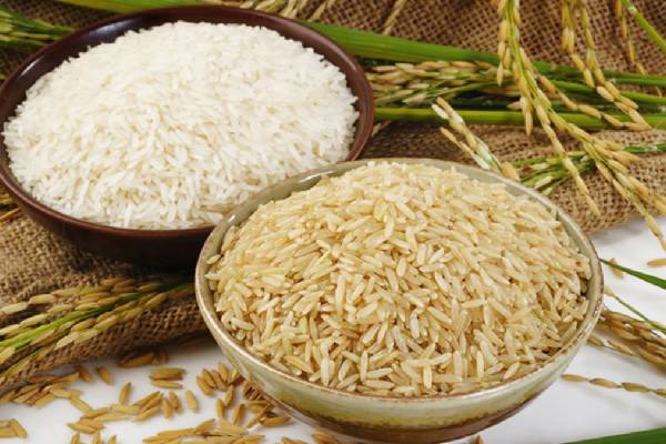ارتقاء جایگاه برنج عطری شمال در بازارهای صادراتی با استراتژی‌های نوآورانه