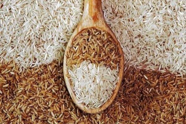 خرید و قیمت برنج طارم کشت دو عمده