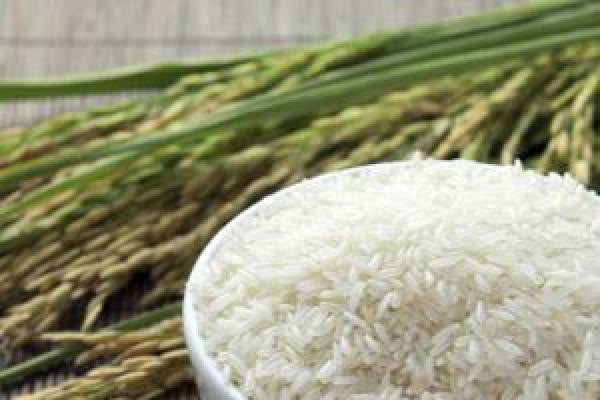 فروش عمده برنج دانه سفید