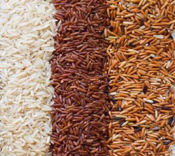 صادرات برنج عطری شمال با کیفیت برتر به بازارهای بین‌المللی