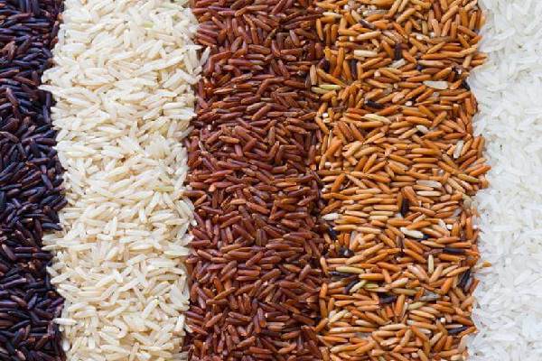 صادرات برنج عطری شمال با کیفیت برتر به بازارهای بین‌المللی