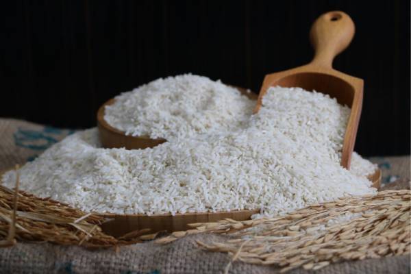 عرضه عمده برنج عطری شمال به قیمت مناسب