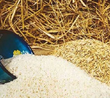 قیمت و خرید برنج دانه سفید ایرانی حجیم شده