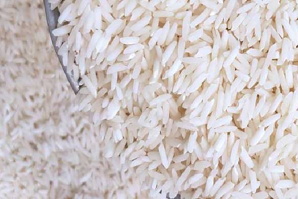 بهترین برنج ایرانی با کیفیت: نکات مهم در خرید و ارزیابی قیمت