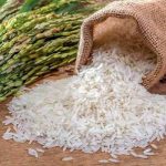 معطر ترین برنج ایرانی