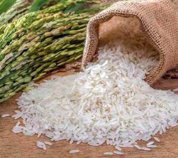 معطر ترین برنج ایرانی