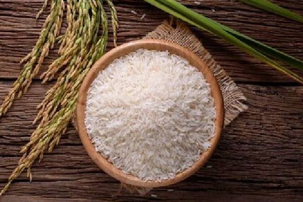 لیست قیمت برنج طارم هاشمی معطر درجه اعلاء: آشنایی با بهترین انتخاب‌ها برای سلامت و لذت آشپزی