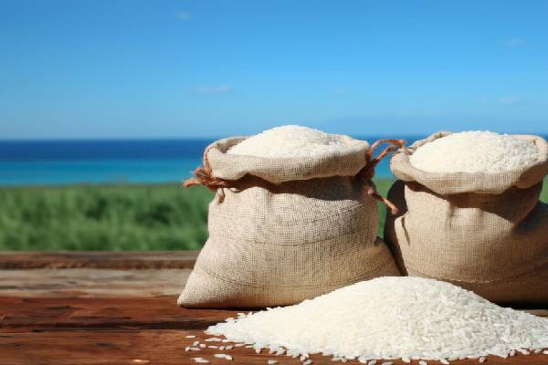 کیفیت عالی در هر دانه: فروش برنج طارم هاشمی درجه یک با اعتماد مصرف‌کنندگان