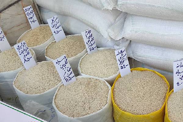 معرفی بهترین برنج عطری ایرانی