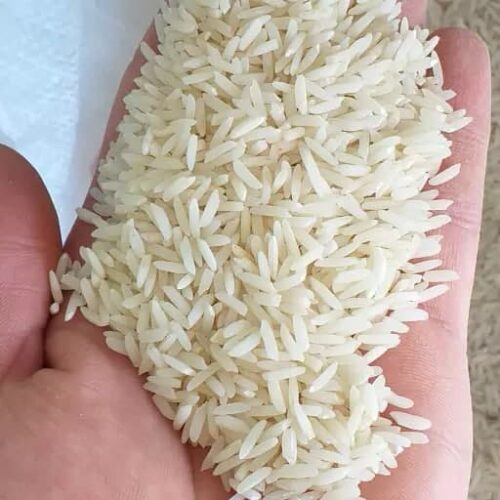 چطور برنج طارم قد میکشه