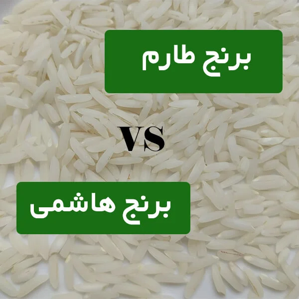 برنج هاشمی بهتره یا طارم