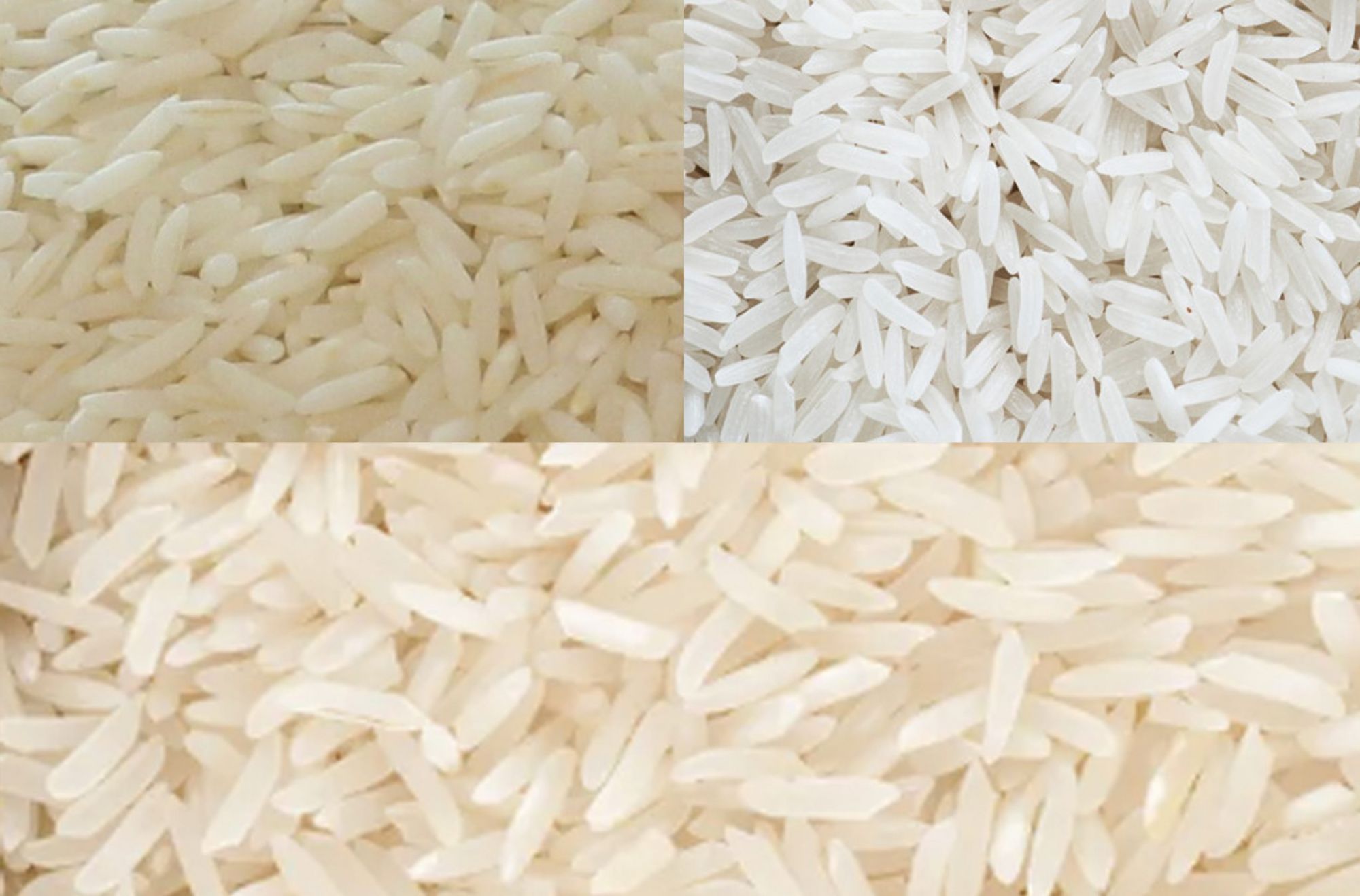 تشخیص اصل بودن برنج طارم