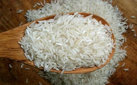 قیمت برنج طارم شمشیری