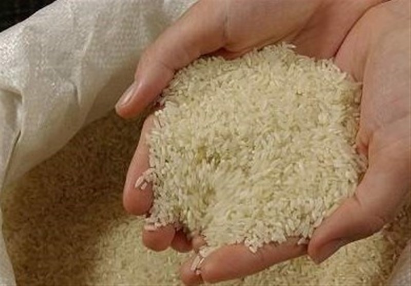 طعم برنج طارم